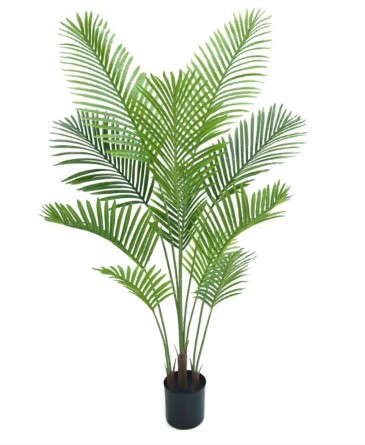 PLANTA PALMERA ARECA 4482 - 160 CM grass