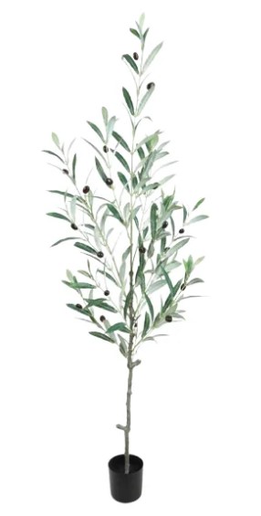 PLANTA OLIVO 1312 - 120 CM grass