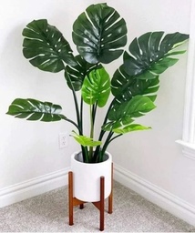 [MONSTERA 40867] PLANTA MONSTERA 40867 - 100 CM grass