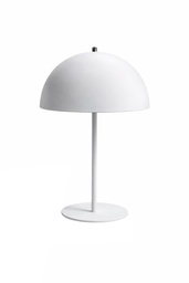 Lampara "BARLETTA" (2 luces)  Ferrolux